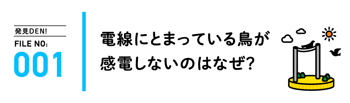 発見DEN! FILE NO:001 電線にとまっている鳥が感電しないのはなぜ？